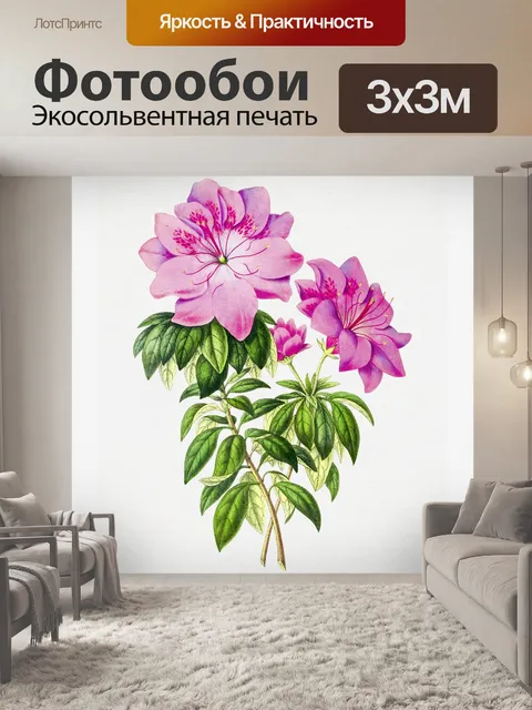 Фотообои Цветок розовый винтажное искусство