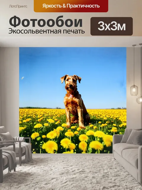 Фотообои ирландский терьер сидит на солнечной поляне, окруженной цветущими клевером и яркими одуванчиками