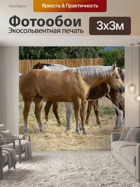 Фотообои Лошади