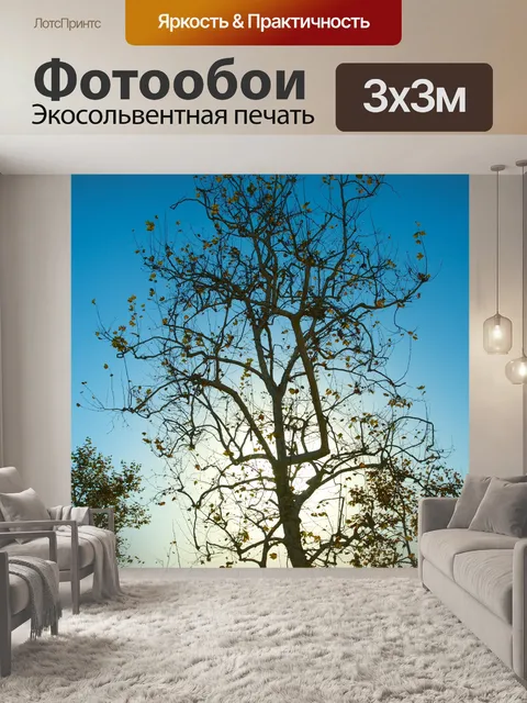 Фотообои Силуэт Умирающий дерево