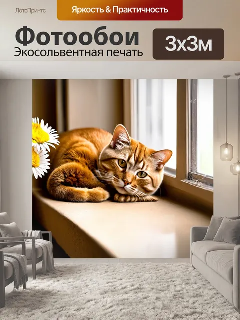 Фотообои коричневый кот, уютно свернувшийся на подоконнике, с видимым солнечным светом и цветами