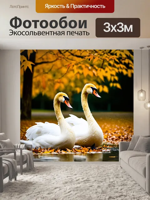 Фотообои пара лебедей в осеннем парке