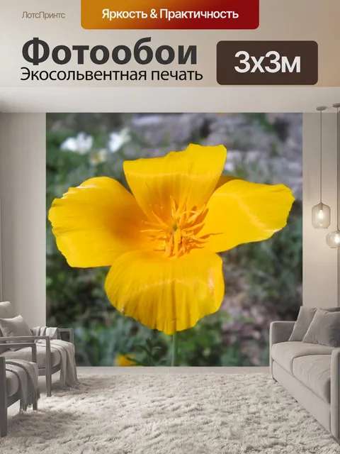 Фотообои Калифорнийский мак