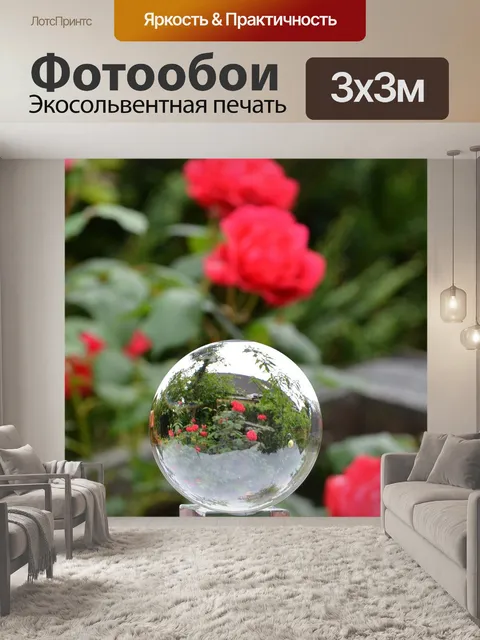 Фотообои Роза