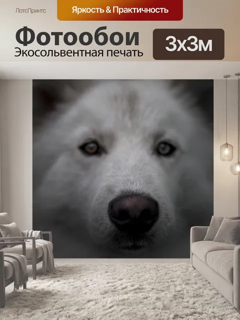 Фотообои Собака