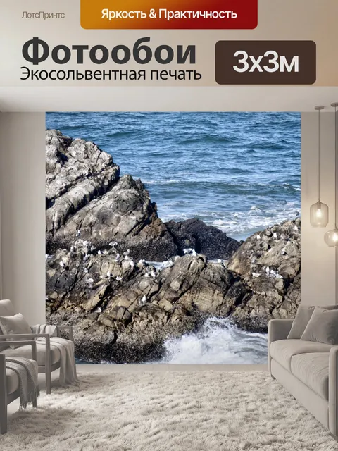 Фотообои Птицы на океанских скалах