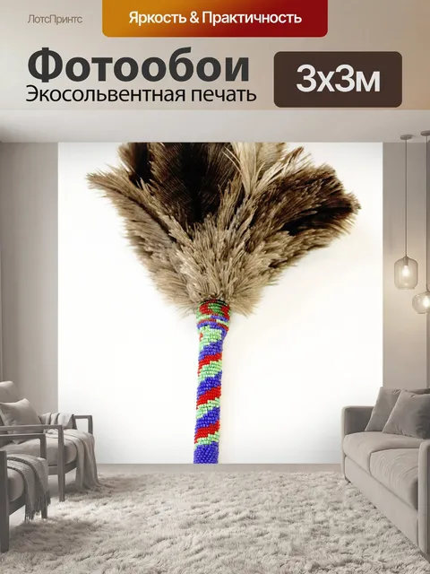 Фотообои Перо тряпкой