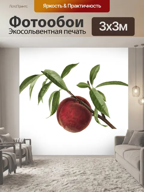 Фотообои Винтажный персиковый фрукт