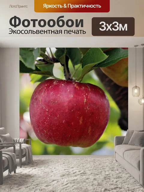 Фотообои Яблоко