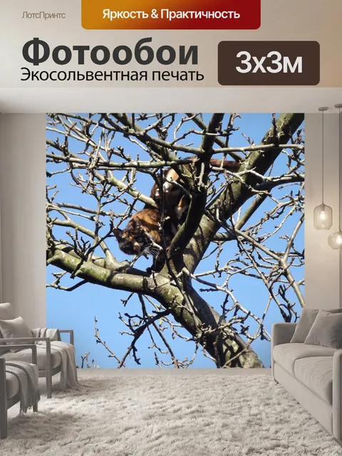 Фотообои Кошка на дереве