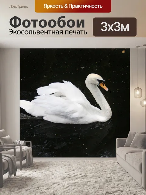 Фотообои Величественный белый лебедь