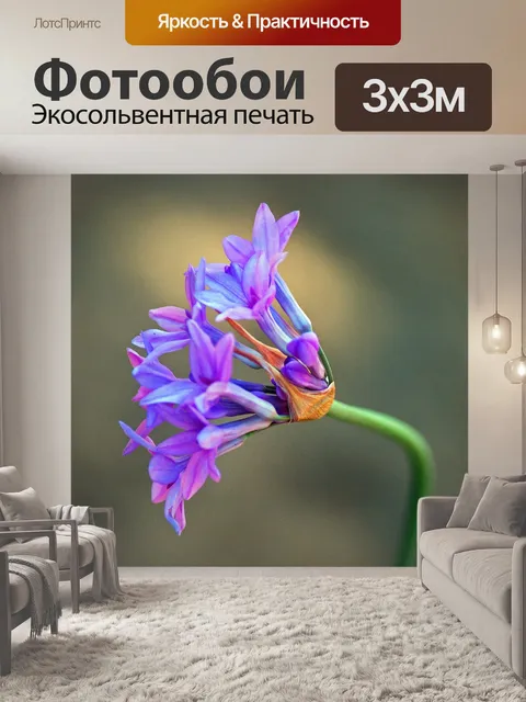 Фотообои головка цветка фиолетового сладкого чесн