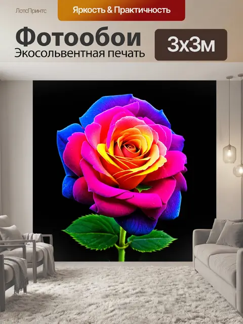 Фотообои цветная роза на черном фоне