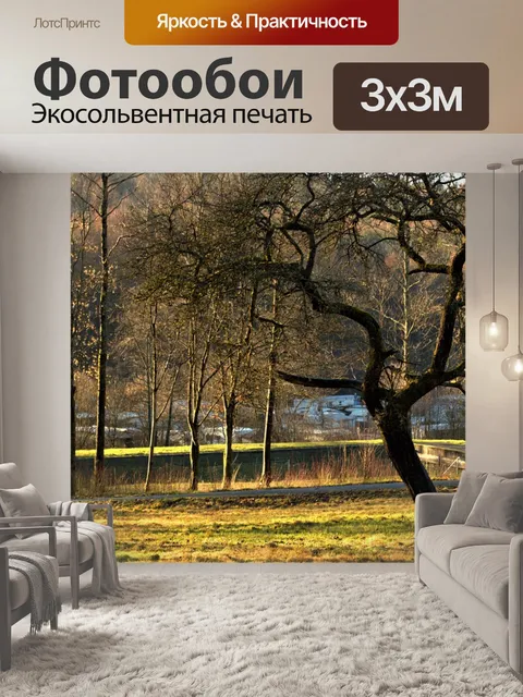Фотообои Кемпинг в лесу