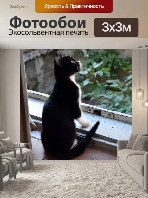 Фотообои Кошка