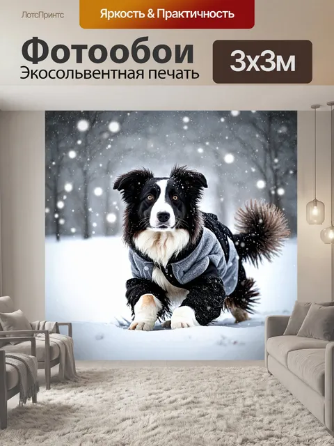 Фотообои бордер-колли в зимнем наряде, играющий в снегу под падающим снегом