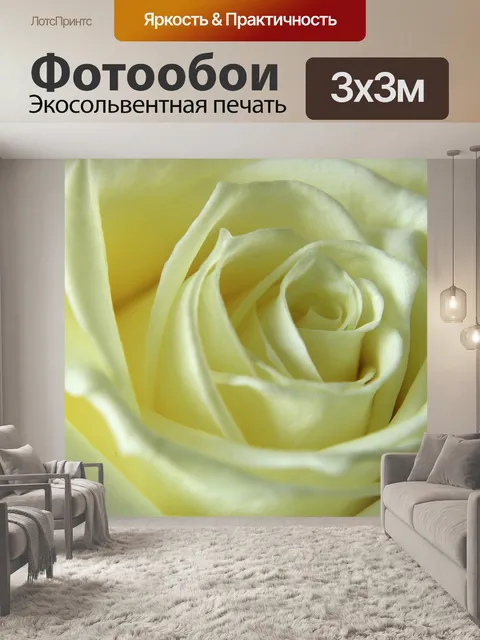Фотообои Rose