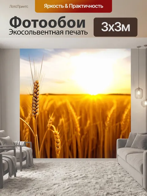 Фотообои пейзаж вечернего поля с колосьями пшеницы