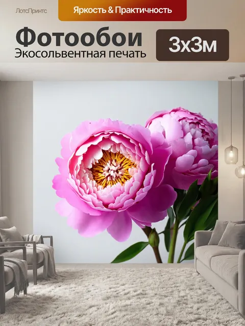 Фотообои пионы в стиле минимализма, с простым фоном и акцентом на их текстуру и форму