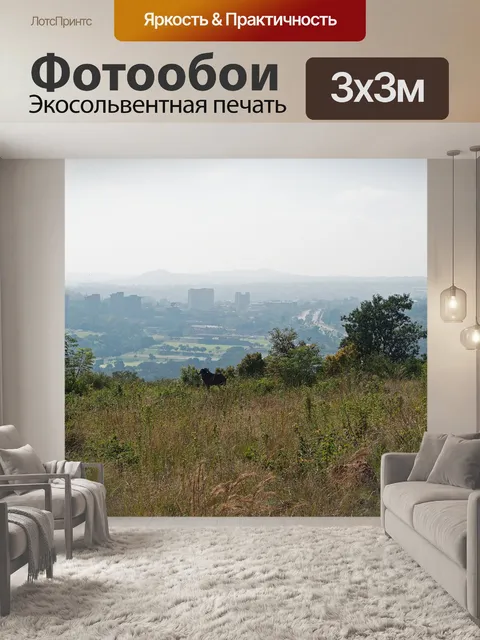 Фотообои черный гну на склоне