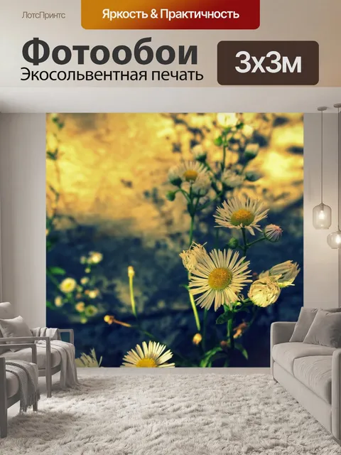 Фотообои Винтажные маргаритки