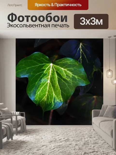 Фотообои лист плюща с зелеными и белыми прожилкам