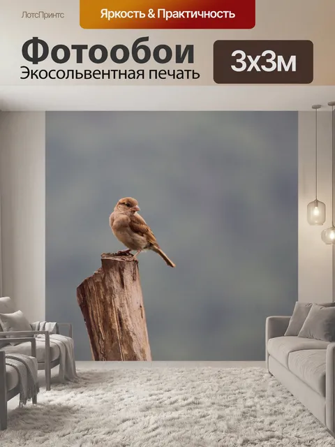 Фотообои Птицы