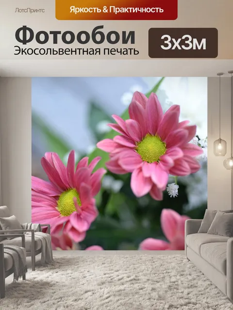 Фотообои Маленький