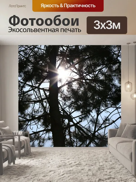 Фотообои Свет
