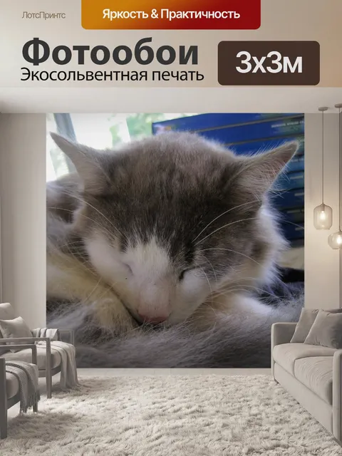 Фотообои котенок в сказочной стране