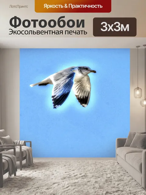 Фотообои Летающая чайка