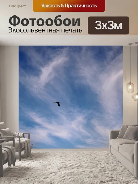 Фотообои летящая птица на фоне неба
