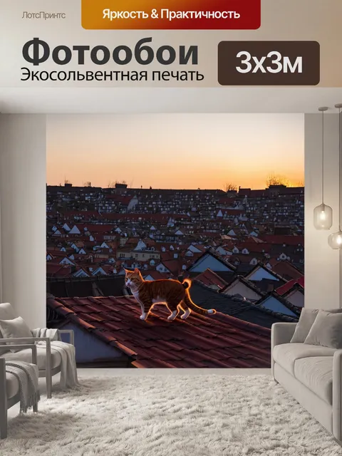 Фотообои с кошками, гуляющими по крыше старого города на закате, восхищаясь видом на rooftops и вечернее небо