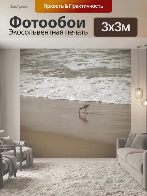 Фотообои птицы на пляже