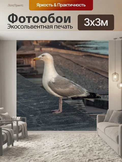 Фотообои Природа