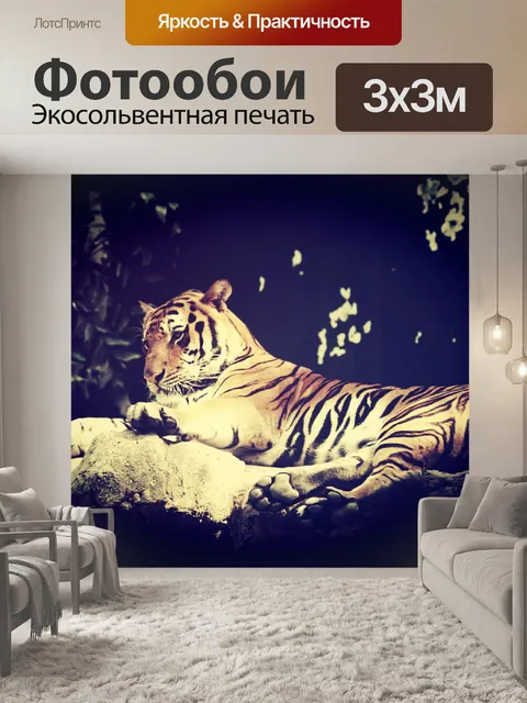 Фотообои тигр в зоопарке Таиланда