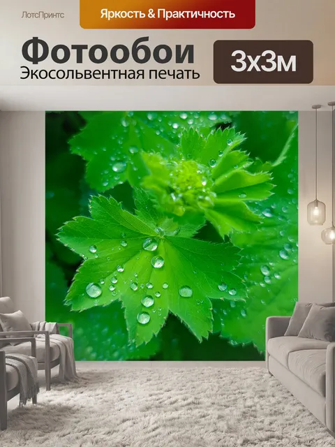 Фотообои Зеленые листья с каплями воды