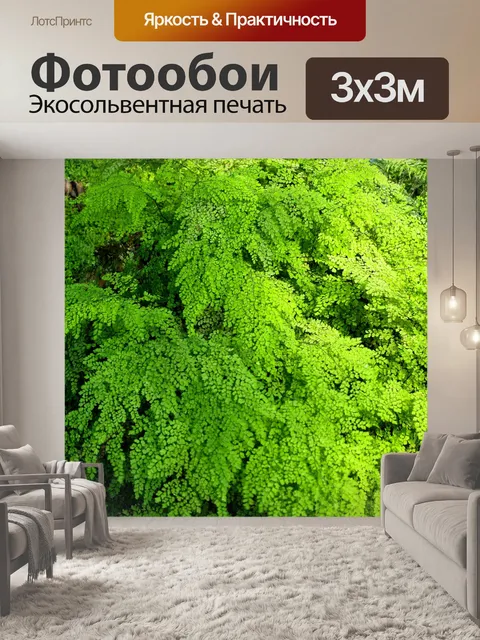 Фотообои Зеленые листья растения папоротника