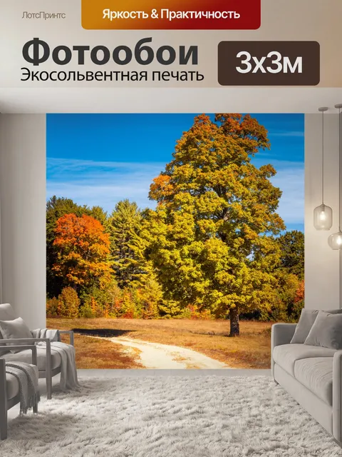 Фотообои дерево осенью