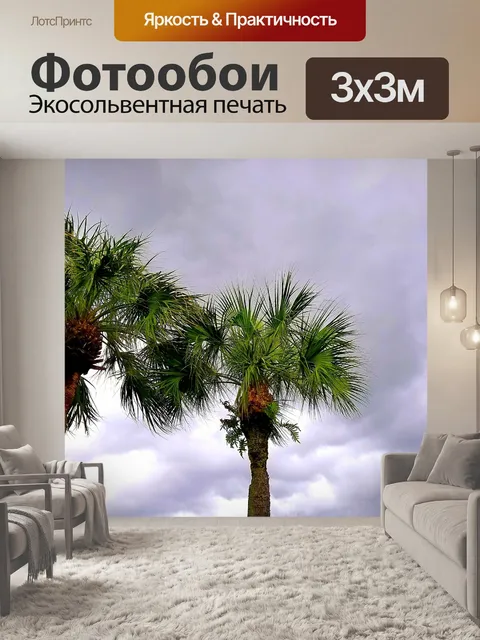 Фотообои Пальмы