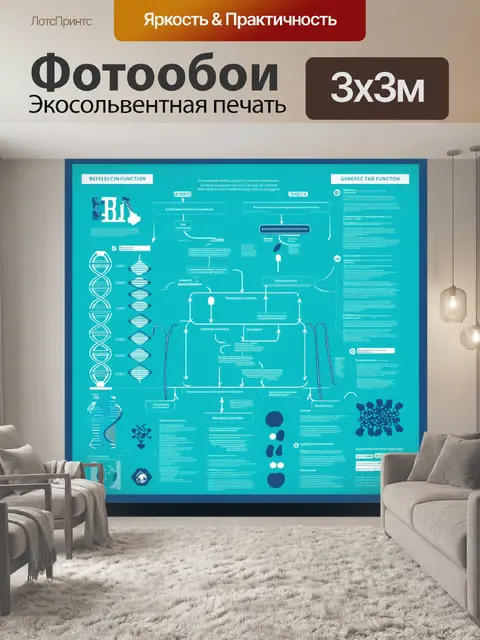 Фотообои научный постер: диаграмма