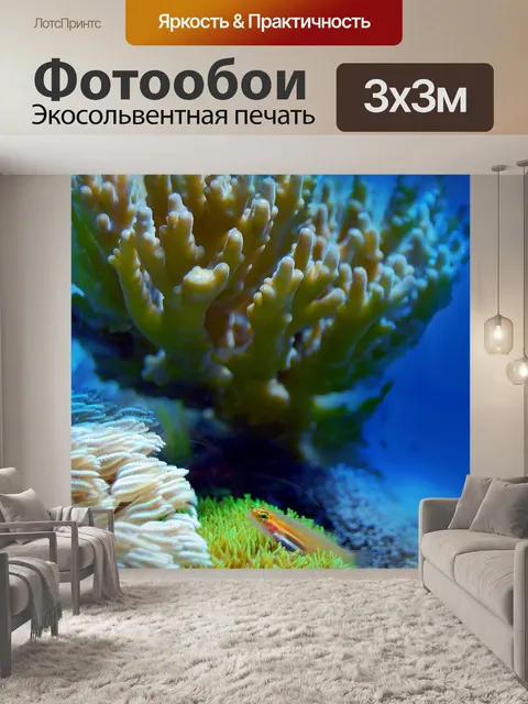 Фотообои Коралл