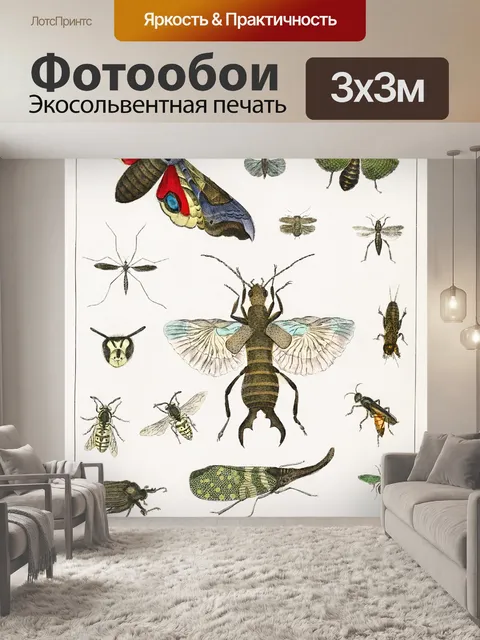 Фотообои Насекомые винтаж искусство старые