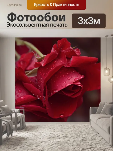 Фотообои Роуз