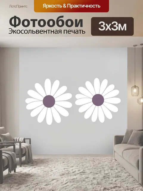 Фотообои Белые ромашки на сером фоне