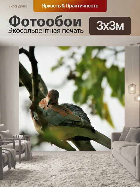 Фотообои Ржавчина и серый крыло смеется голубя