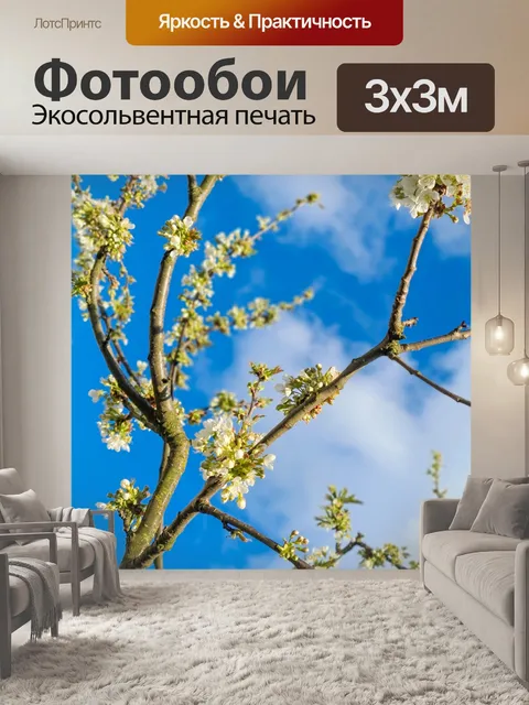 Фотообои ветвь цветущей вишни