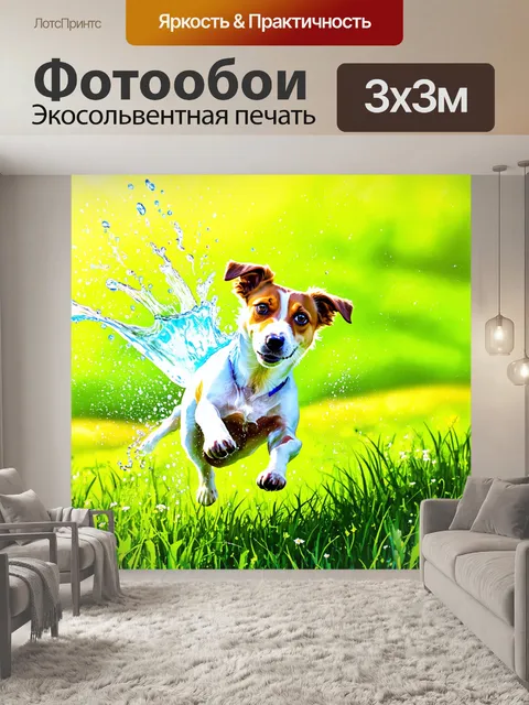 Фотообои солнечное утро на лужайке с джек-рассел-терьером, у которого водяной брызг отражает радугу