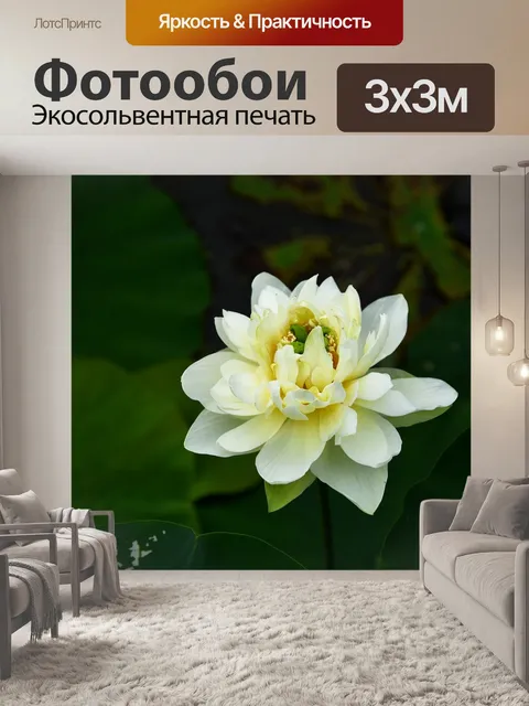 Фотообои Золотой лотос