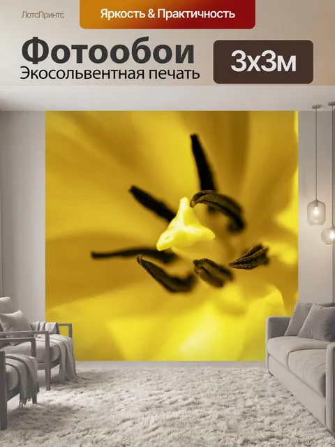 Фотообои желтый тюльпан крупным планом